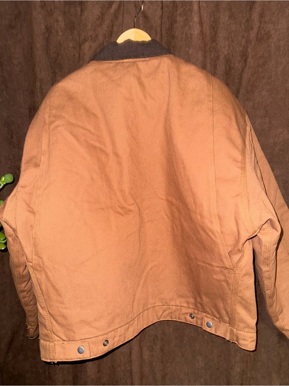 Corner stone Men's Tan Canvas Jacket with Dark Collar - Picture 6 of 6